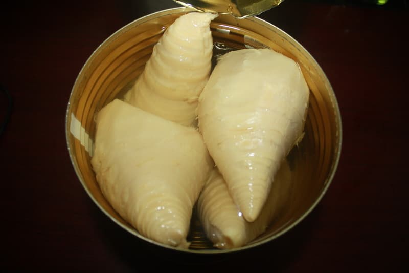 canned bamboo shoot